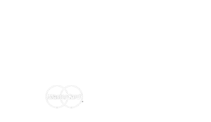 logo-webpay-plus-white